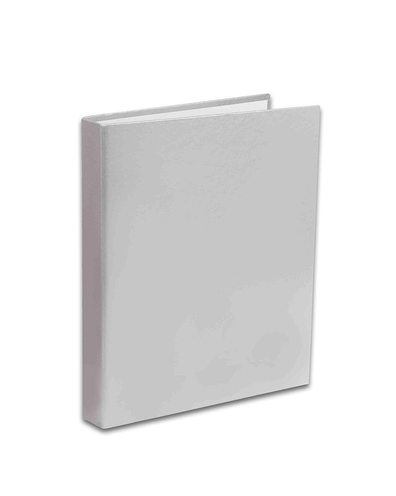 Segregator a5/2r penmate srebrny