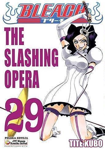 Bleach - 29