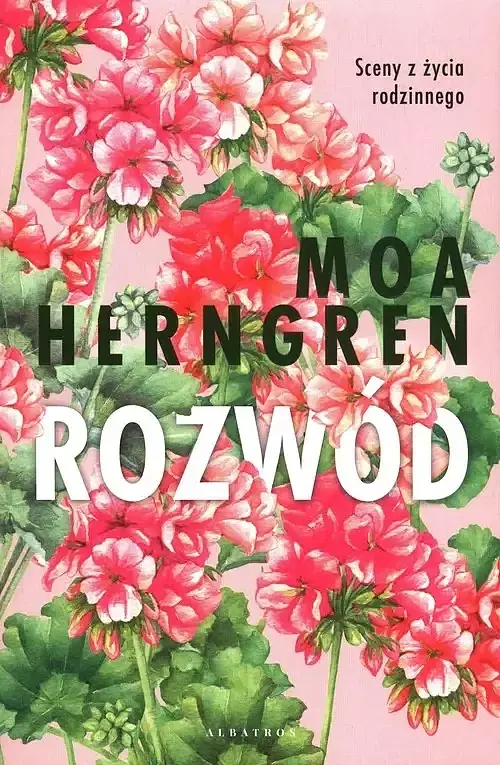 Rozwód