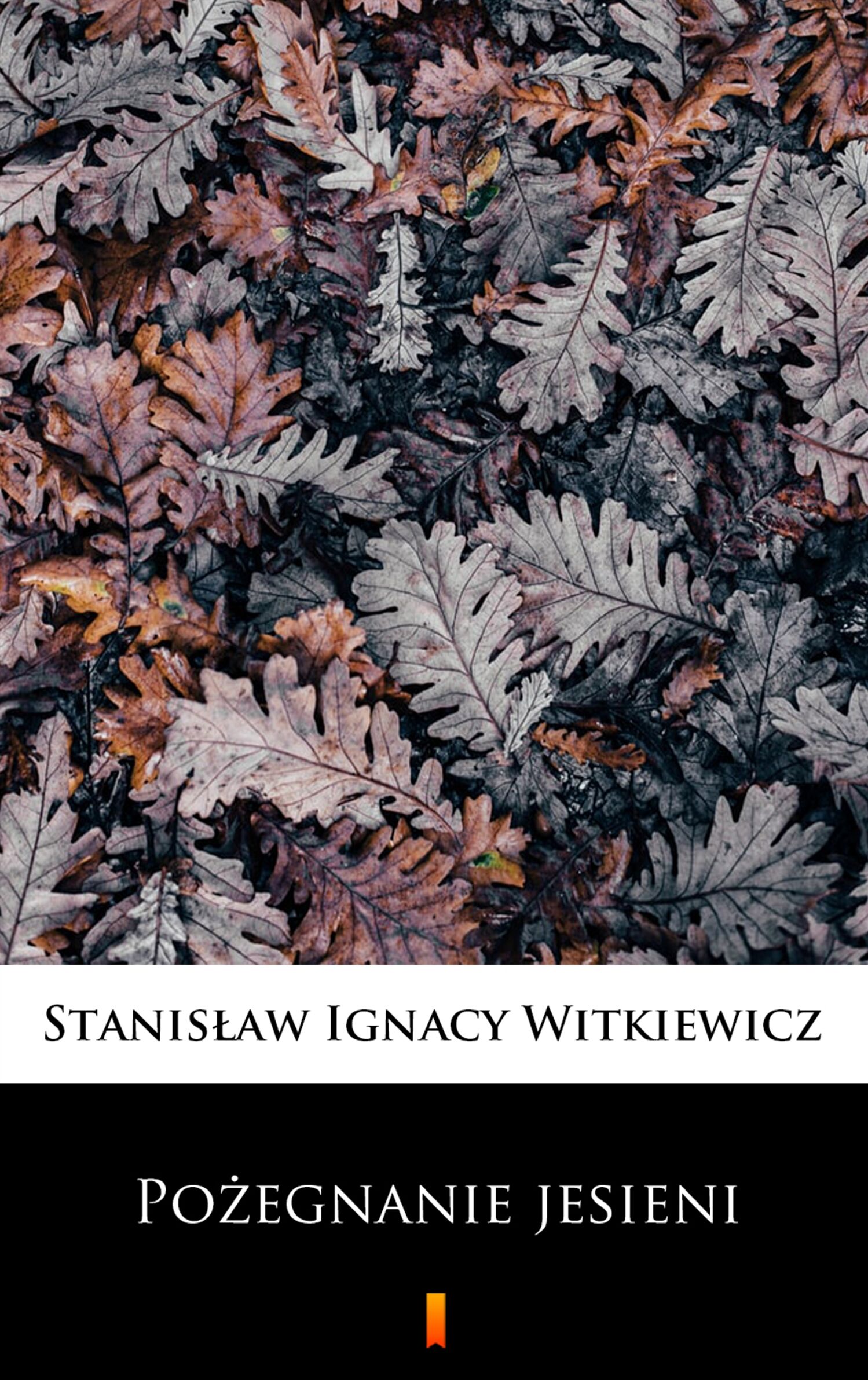 Pożegnanie jesieni (e-book)