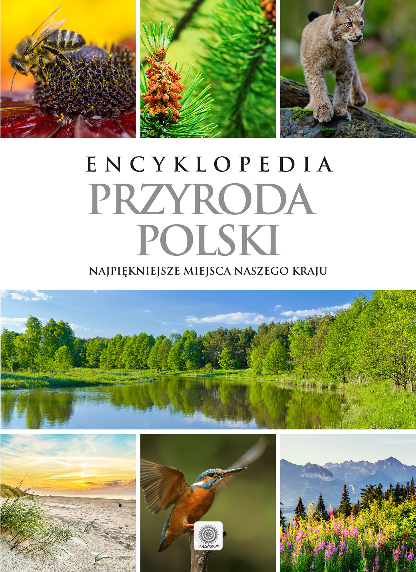 Przyroda Polski. Encyklopedia
