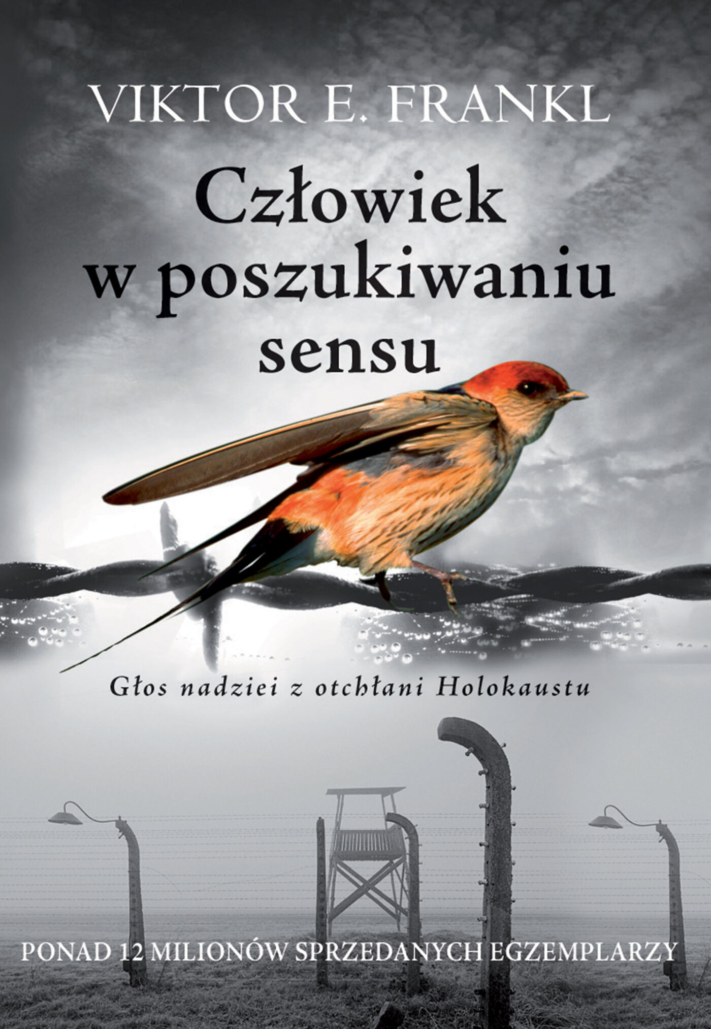 Człowiek w poszukiwaniu sensu (e-book)