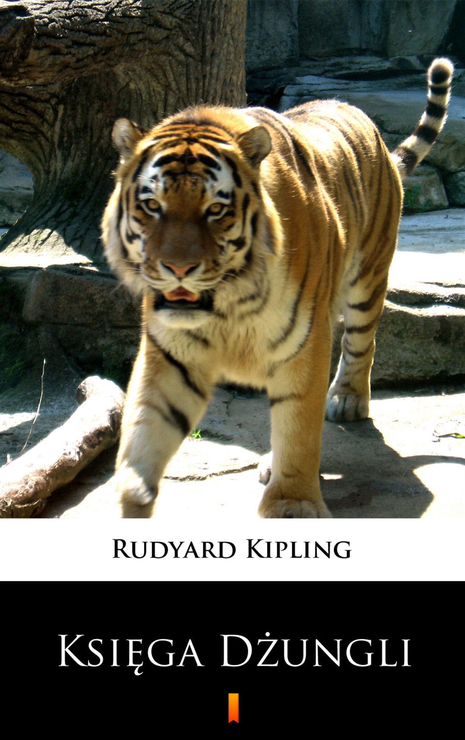 Księga dżungli (e-book)