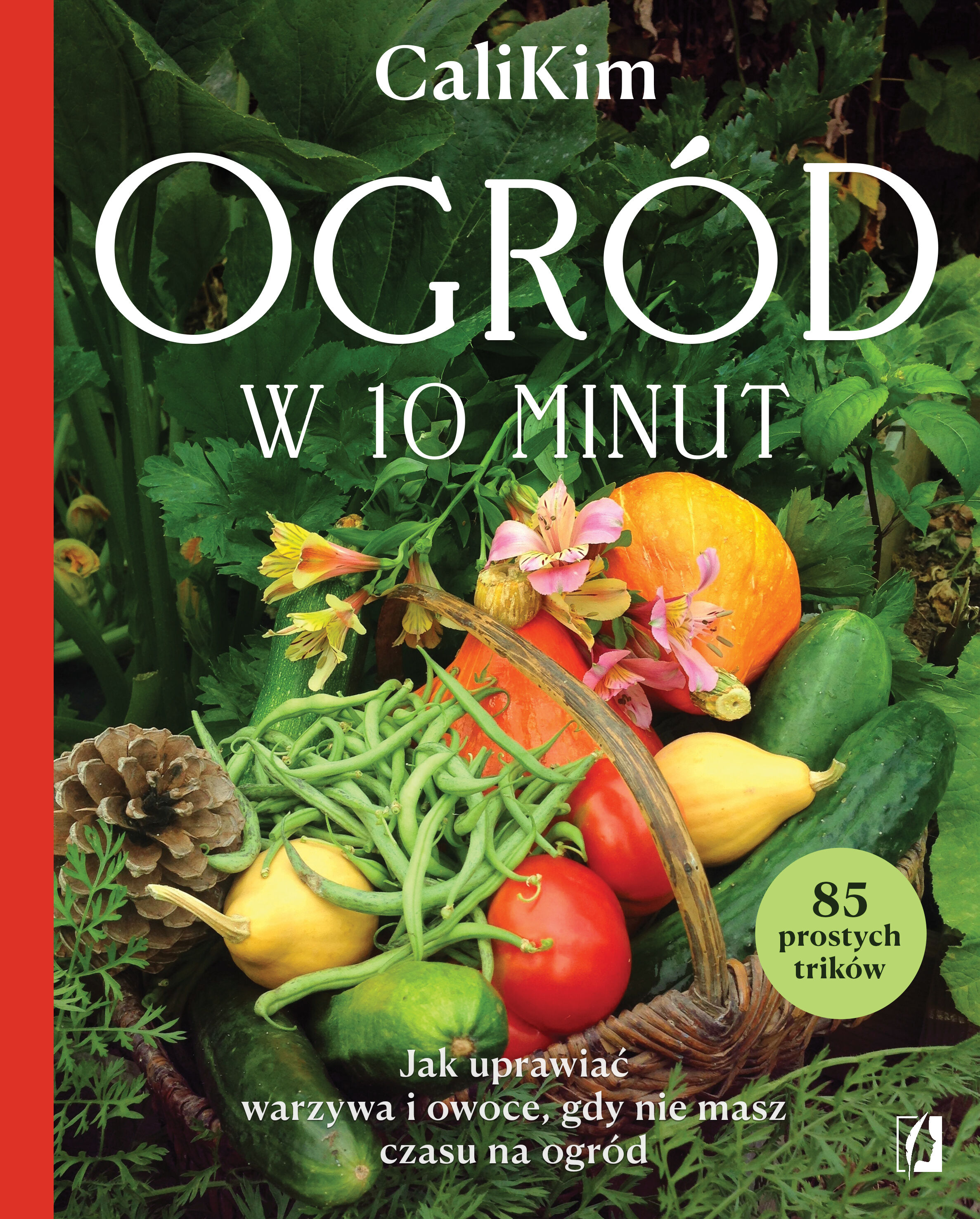 Ogród w 10 minut