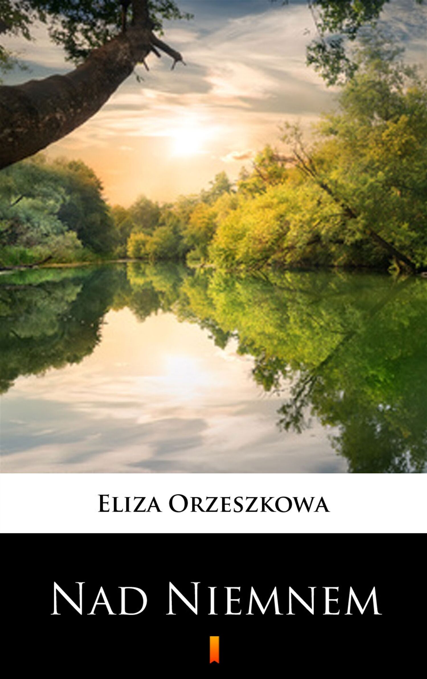 Nad Niemnem (e-book)