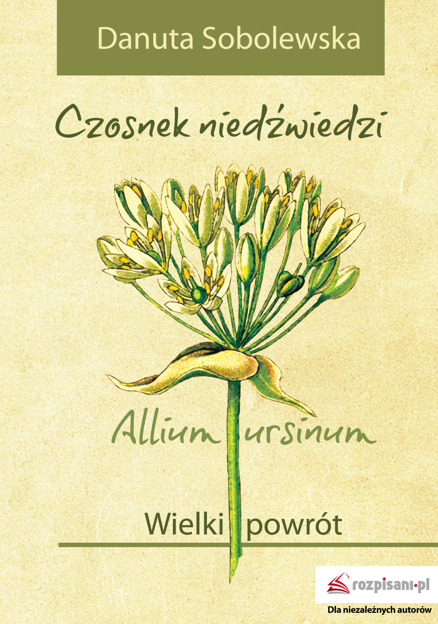 Czosnek niedźwiedzi – Allium ursinum