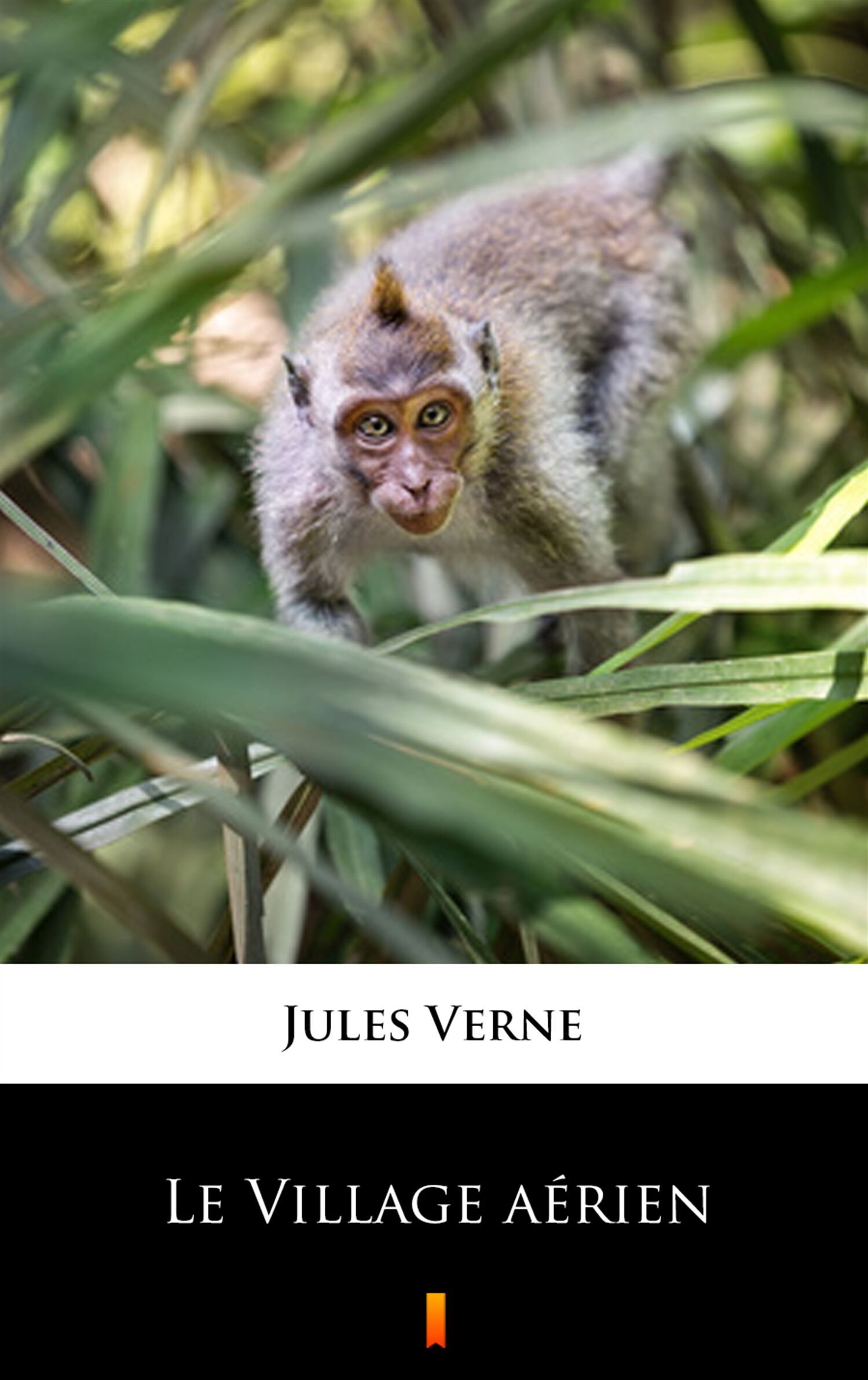 Le Village aérien (e-book)