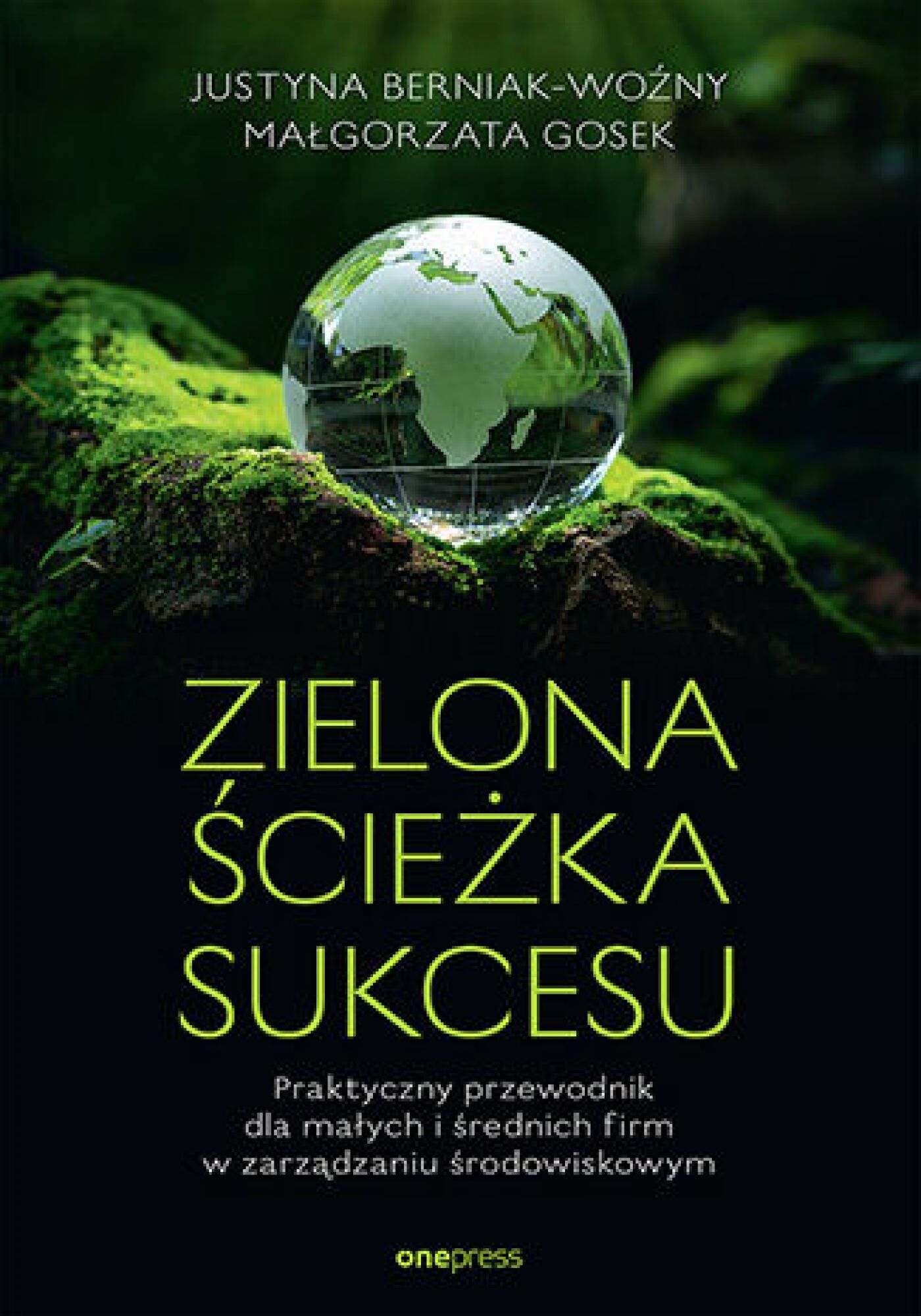 Zielona ścieżka sukcesu. Praktyczny przewodnik dla małych i średnich firm w zarządzaniu środowiskowym (e-book)