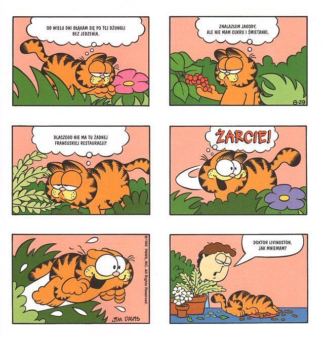 Garfield: Skarbiec - 3