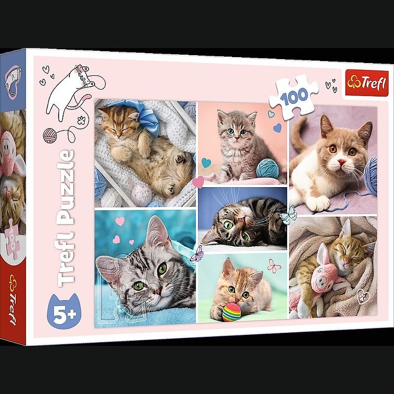 Puzzle 100 w kocim świecie 16420