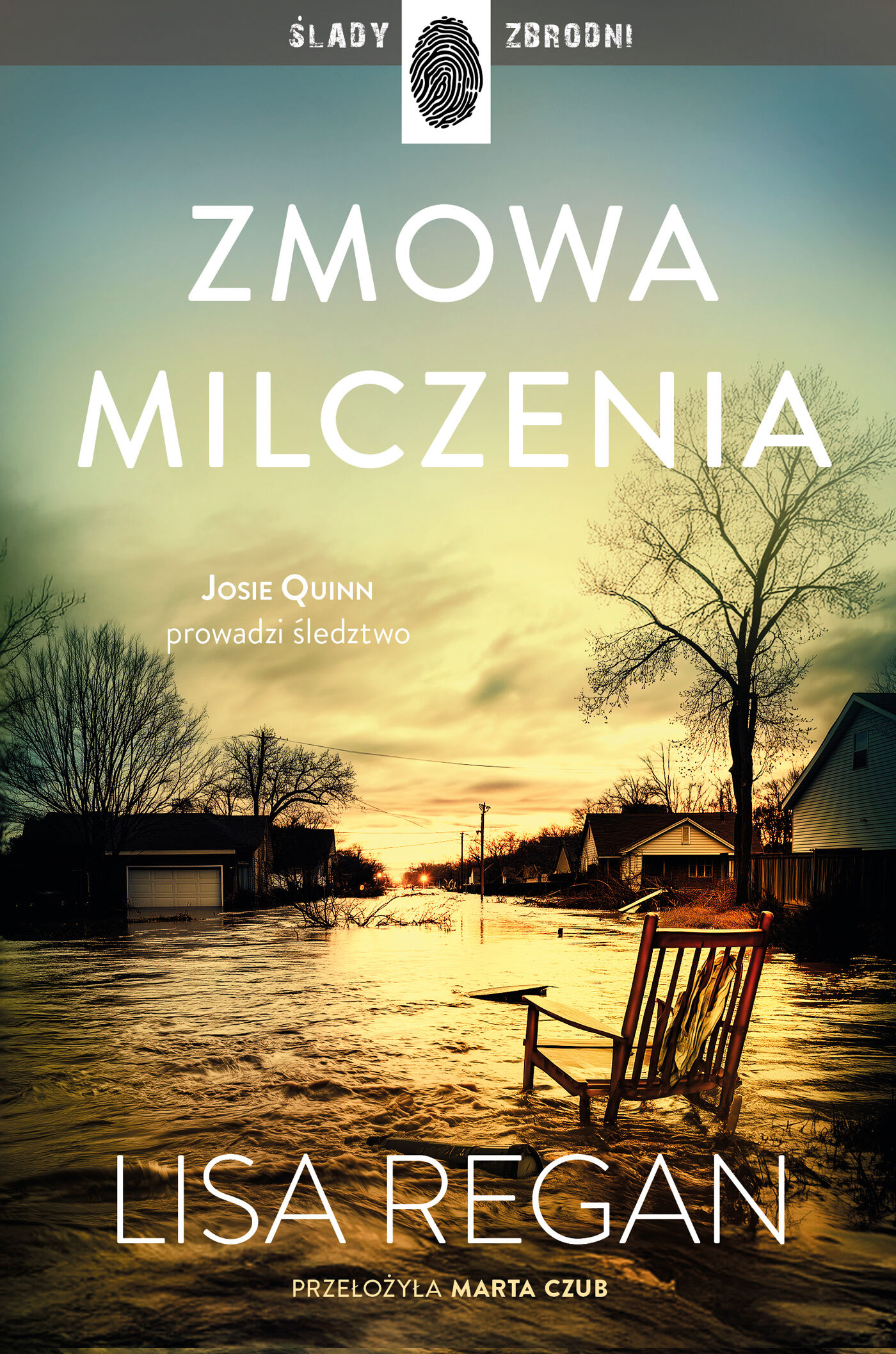 Zmowa milczenia (e-book)