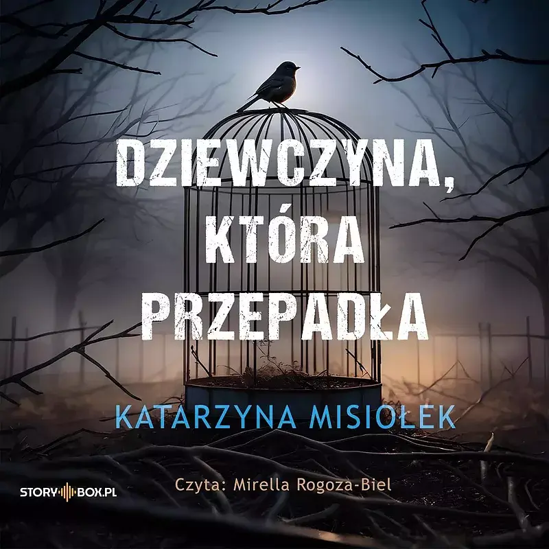 Dziewczyna, która przepadła (audiobook CD)