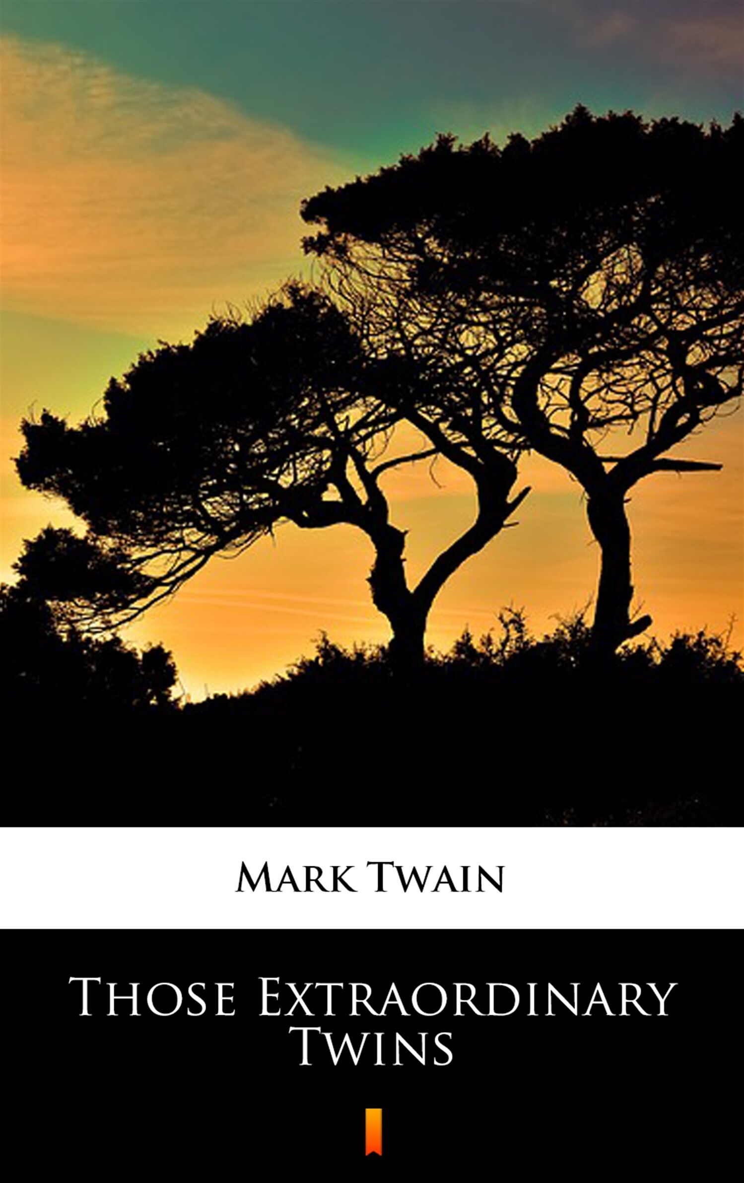 Those Extraordinary Twins (e-book)