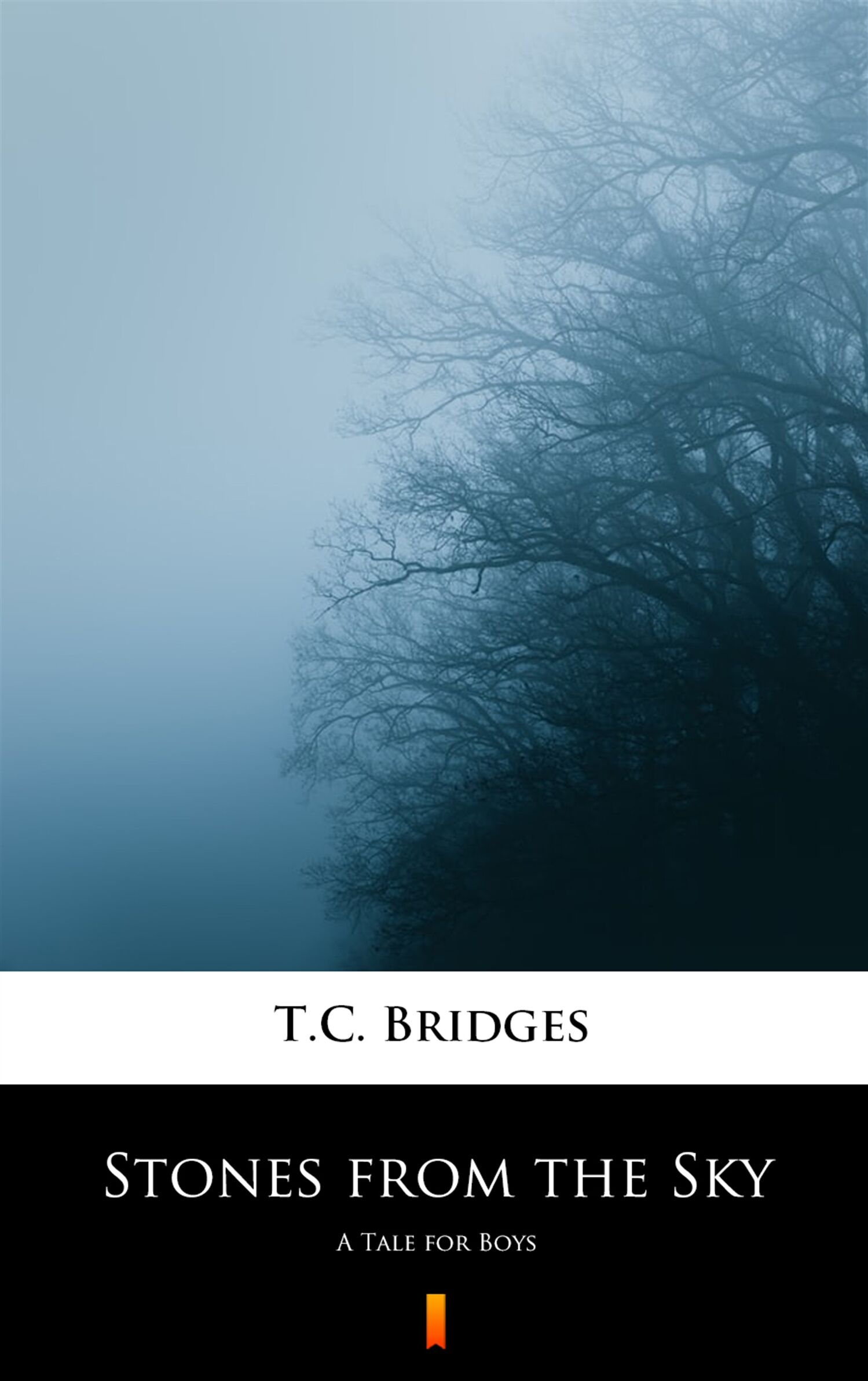 Stones from the Sky (e-book)