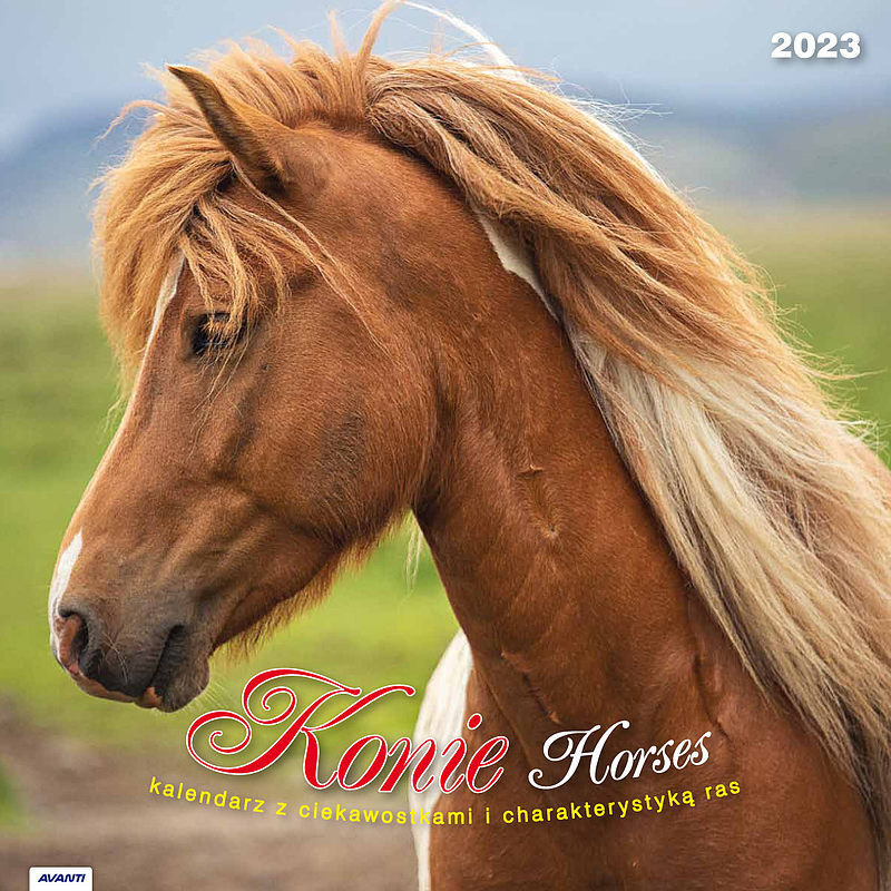 Kalendarz 2023 ścienny konie z ciekawostkami kad11