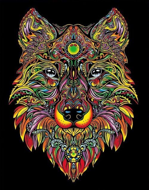 Kolorowanka Welwetowa Colorvelvet 47x35 cm Lupus + 12 flamastrów Carioca