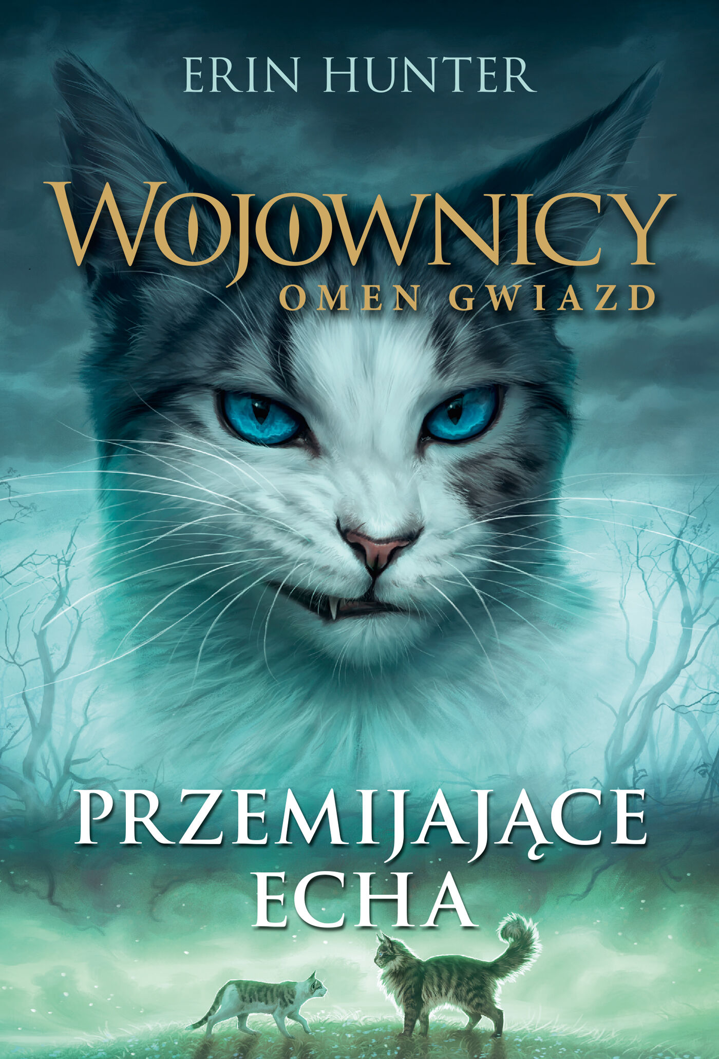 Przemijające echa. WOJOWNICY /NB/