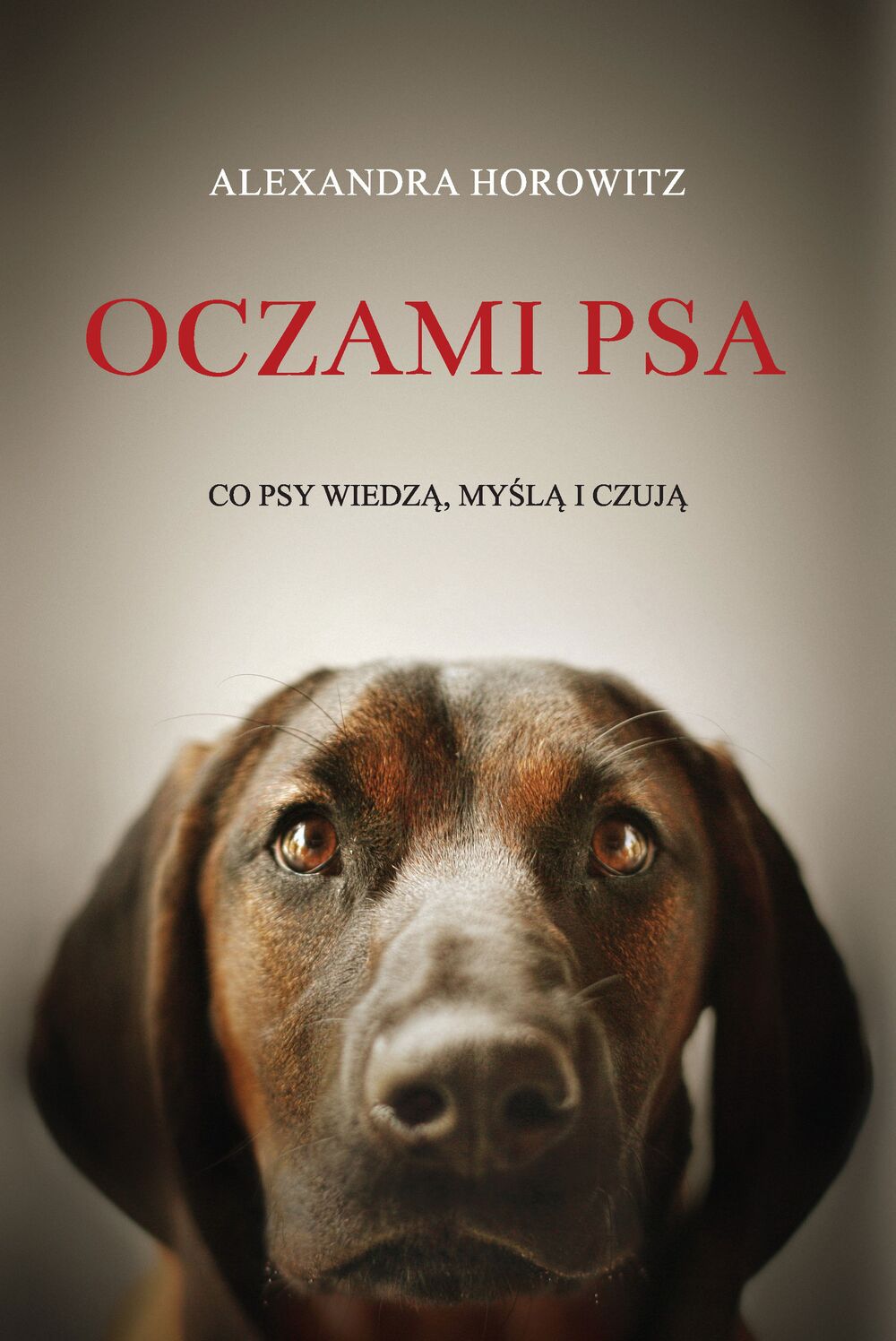 Oczami psa co psy wiedzą myślą i czują
