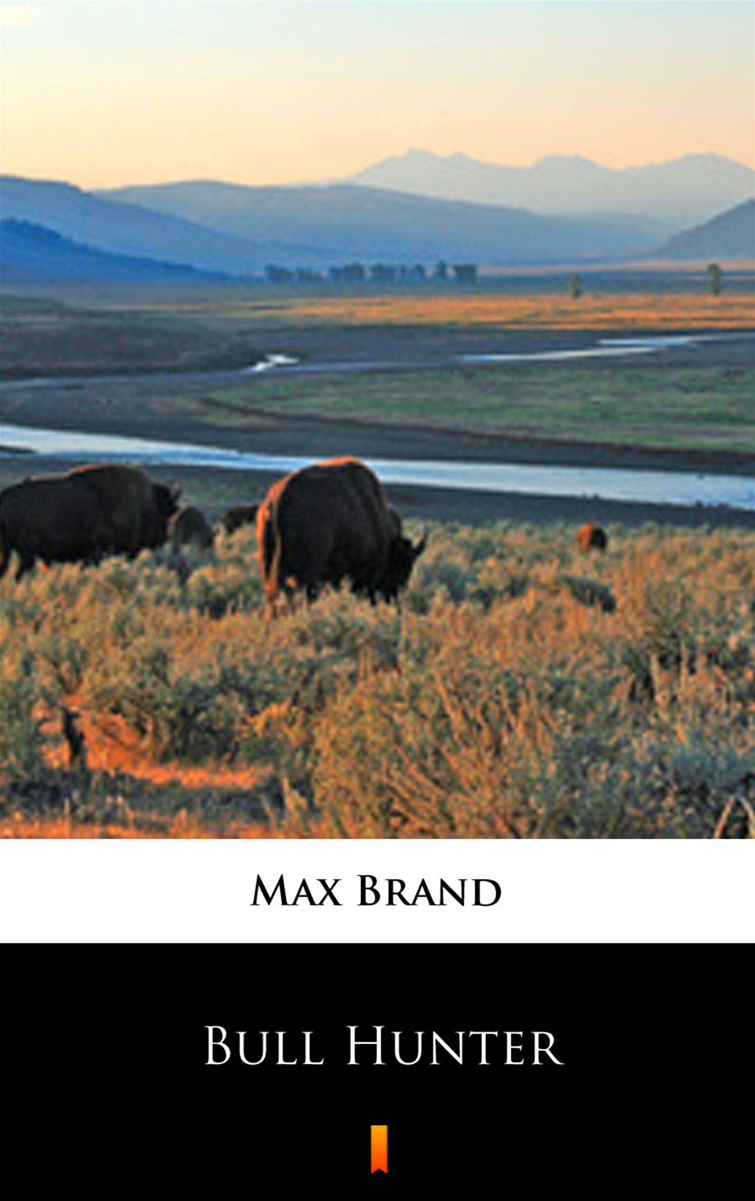 Bull Hunter (e-book)