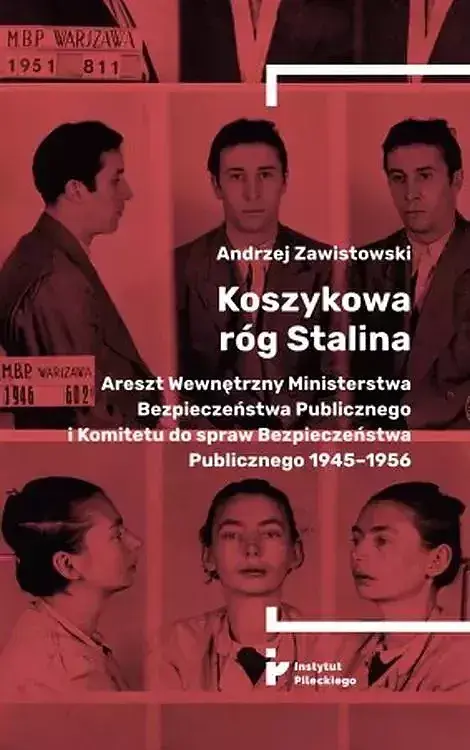 Koszykowa róg stalina