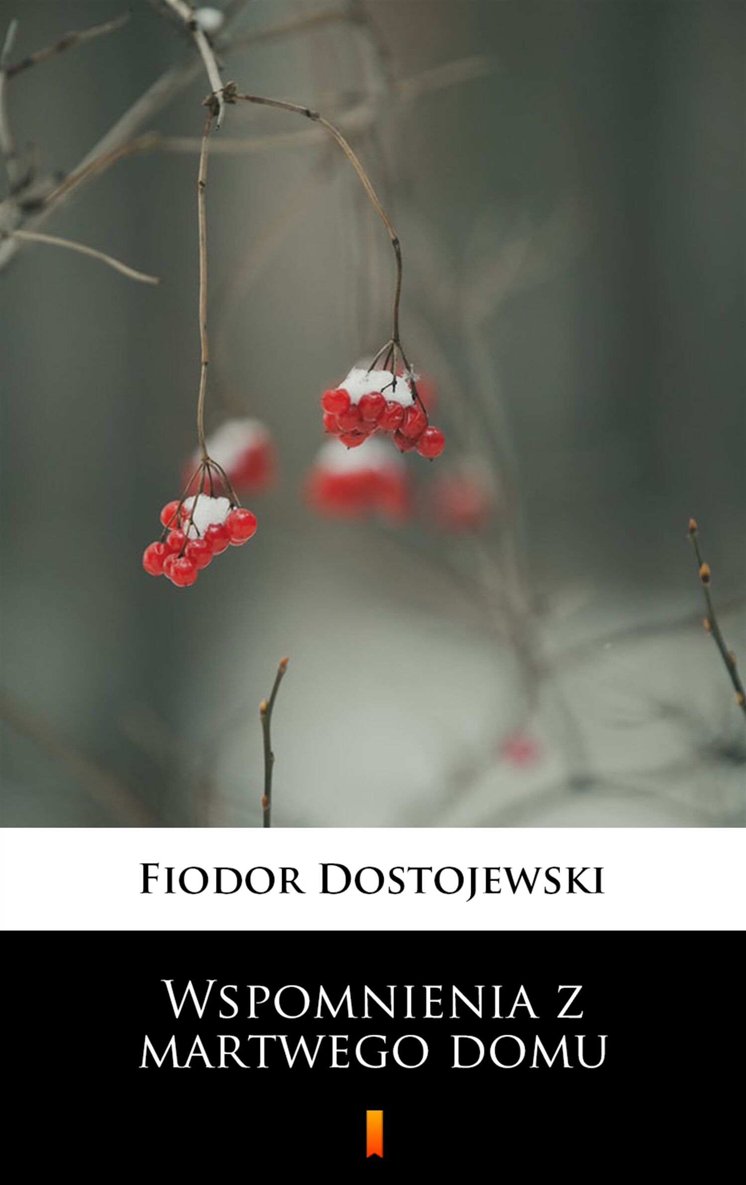 Wspomnienia z martwego domu (e-book)
