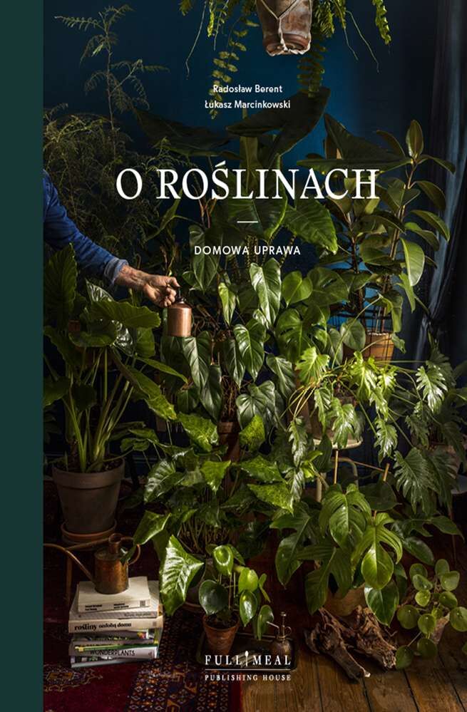 O roślinach domowa uprawa