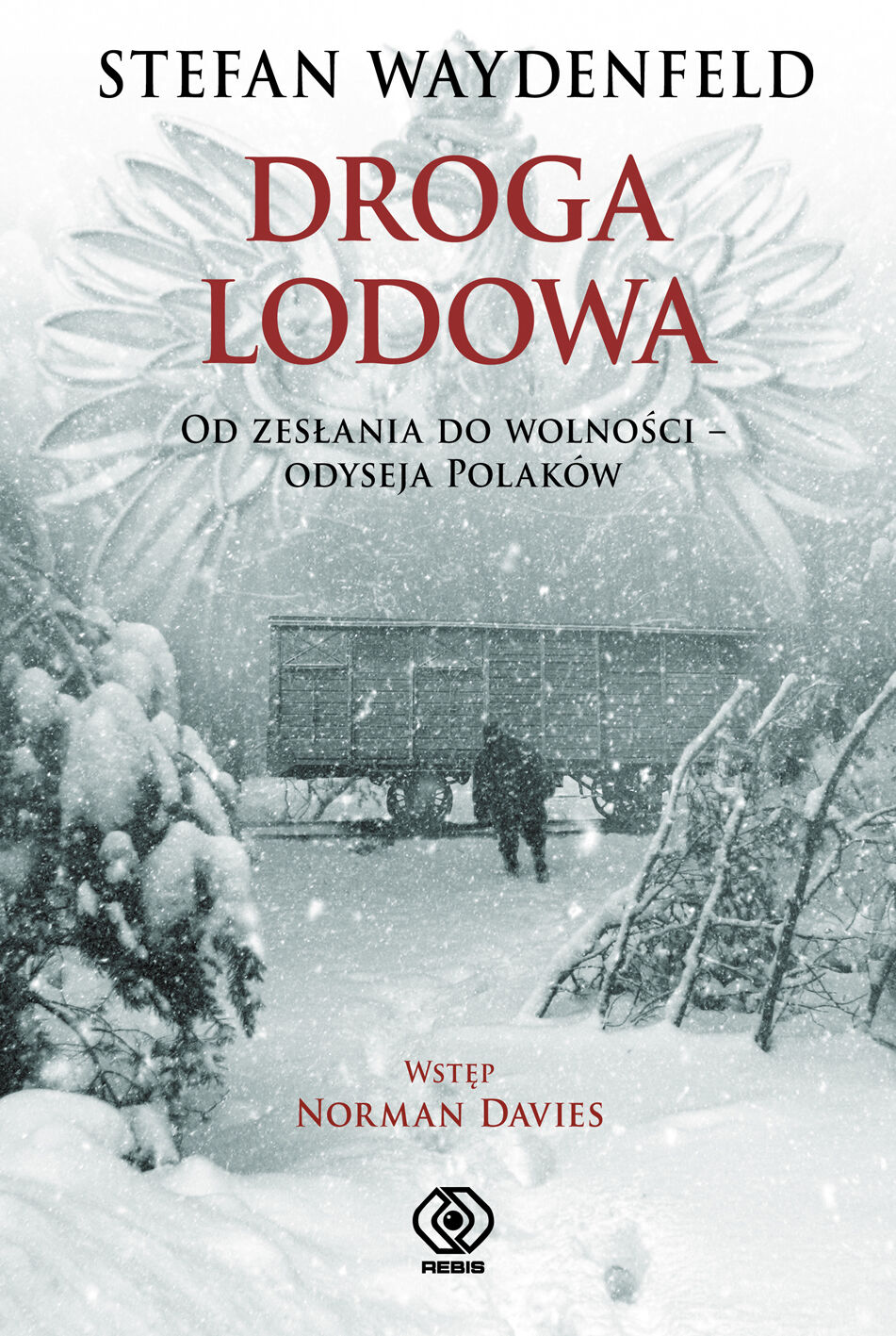 Droga lodowa