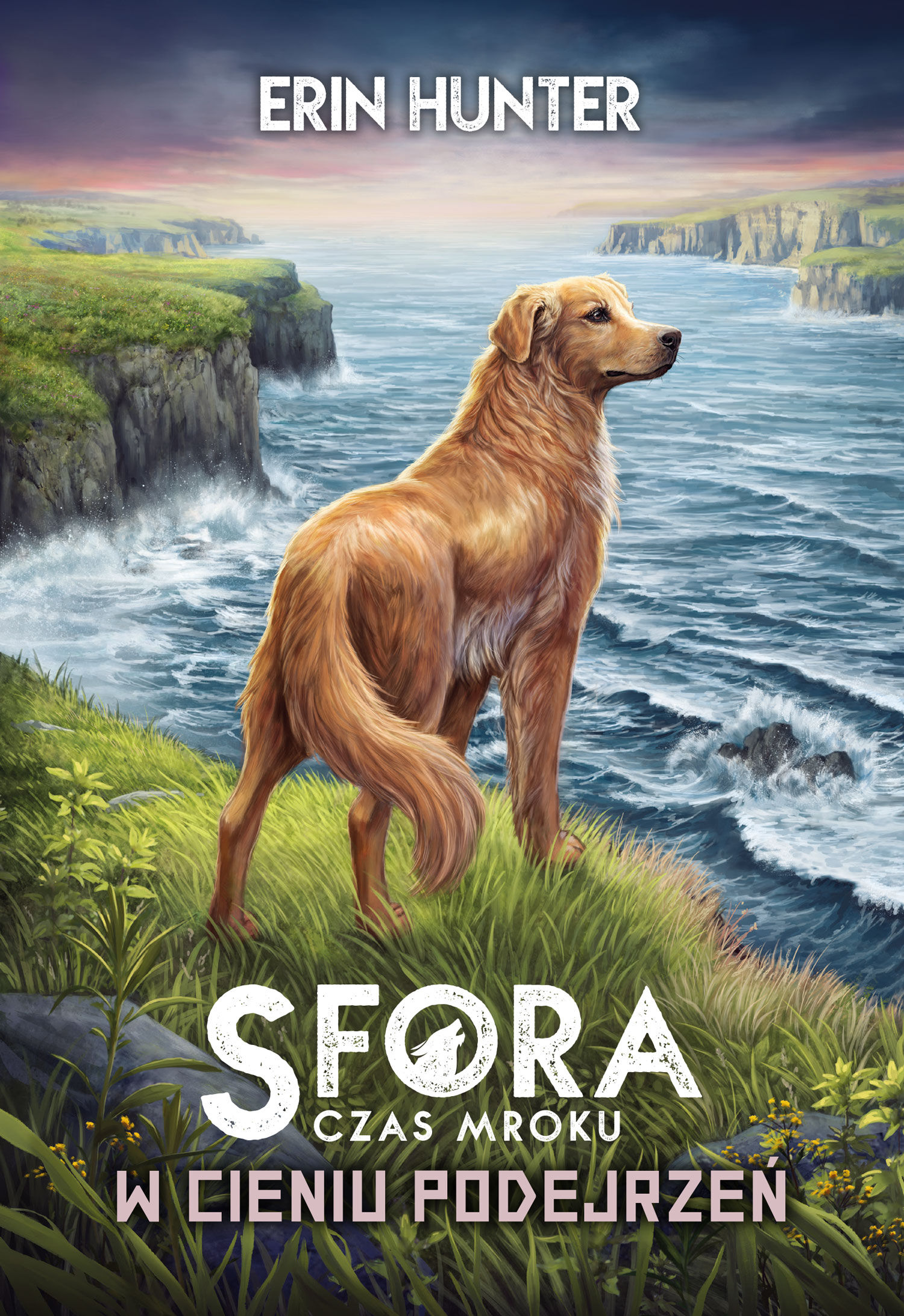 W cieniu podejrzeń (e-book)