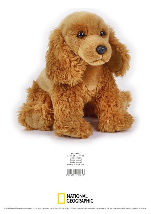 Cocker Spaniel