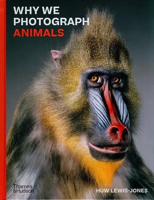 Why We Photograph Animals