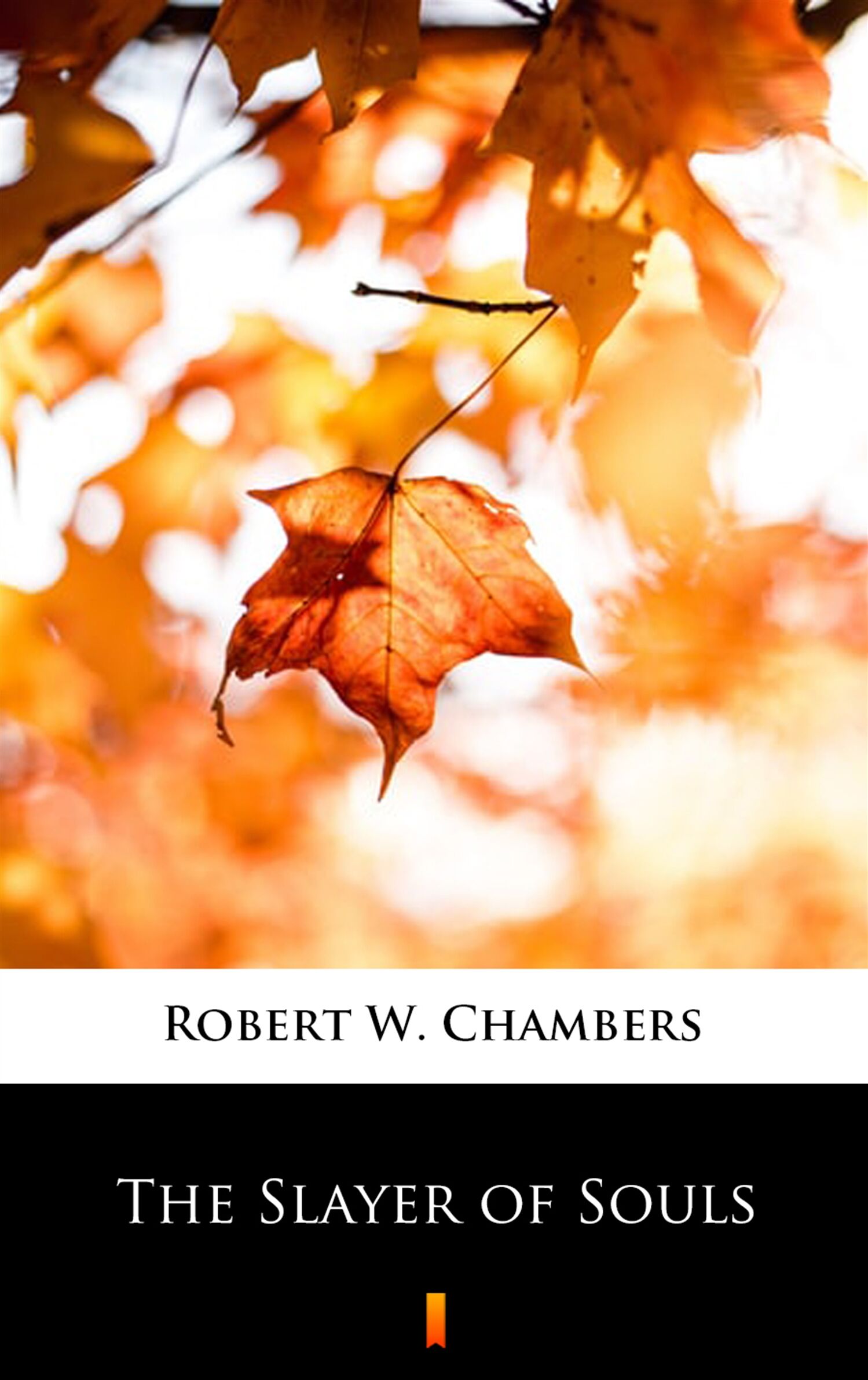 The Slayer of Souls (e-book)