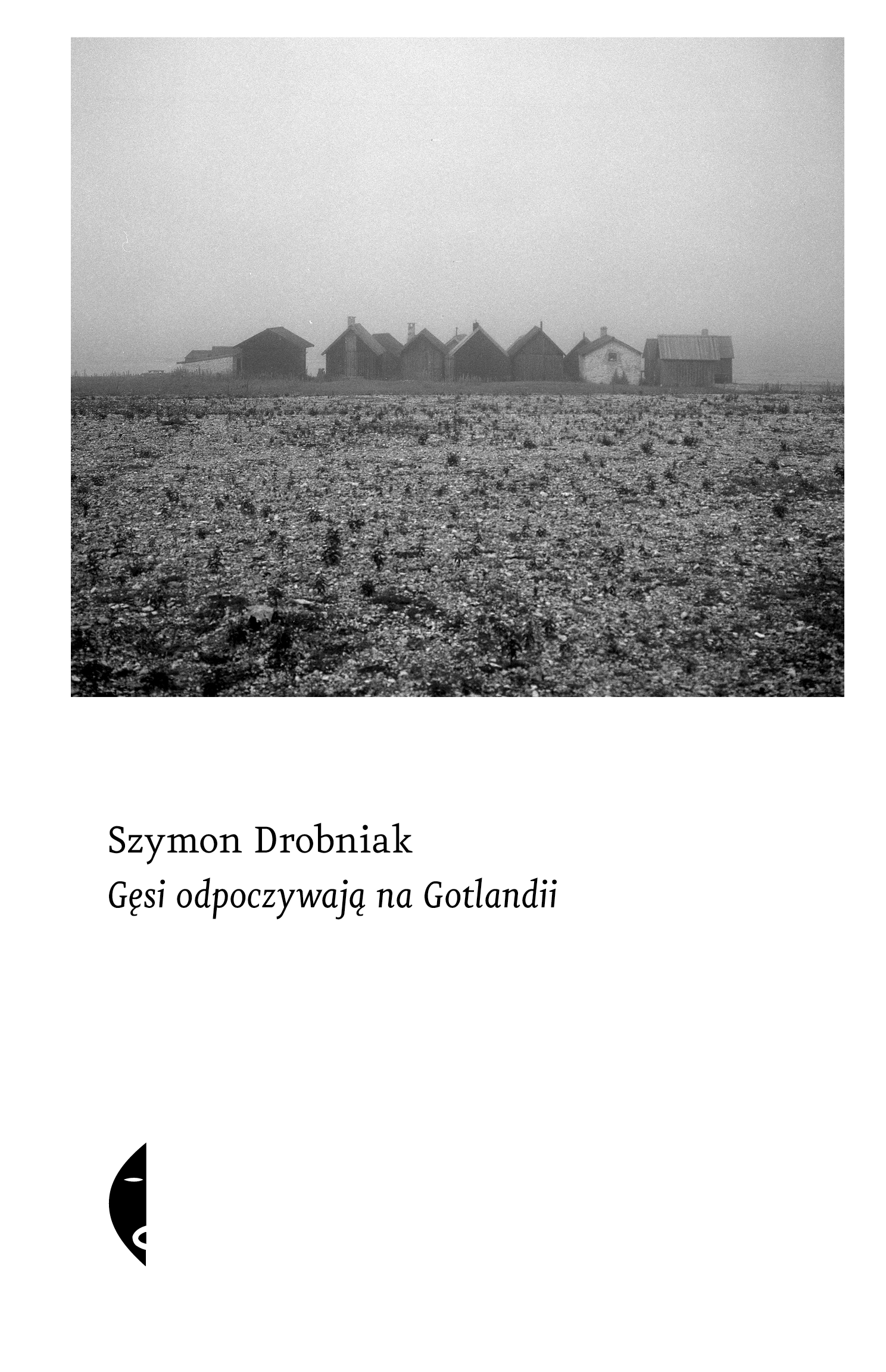 Gęsi odpoczywają na Gotlandii (e-book)