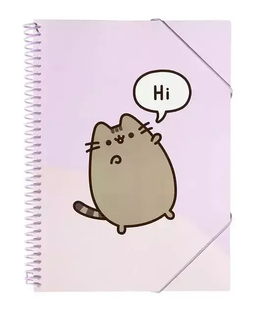 Skoroszyt a4 z gumką pusheen cfa405 30 kartek