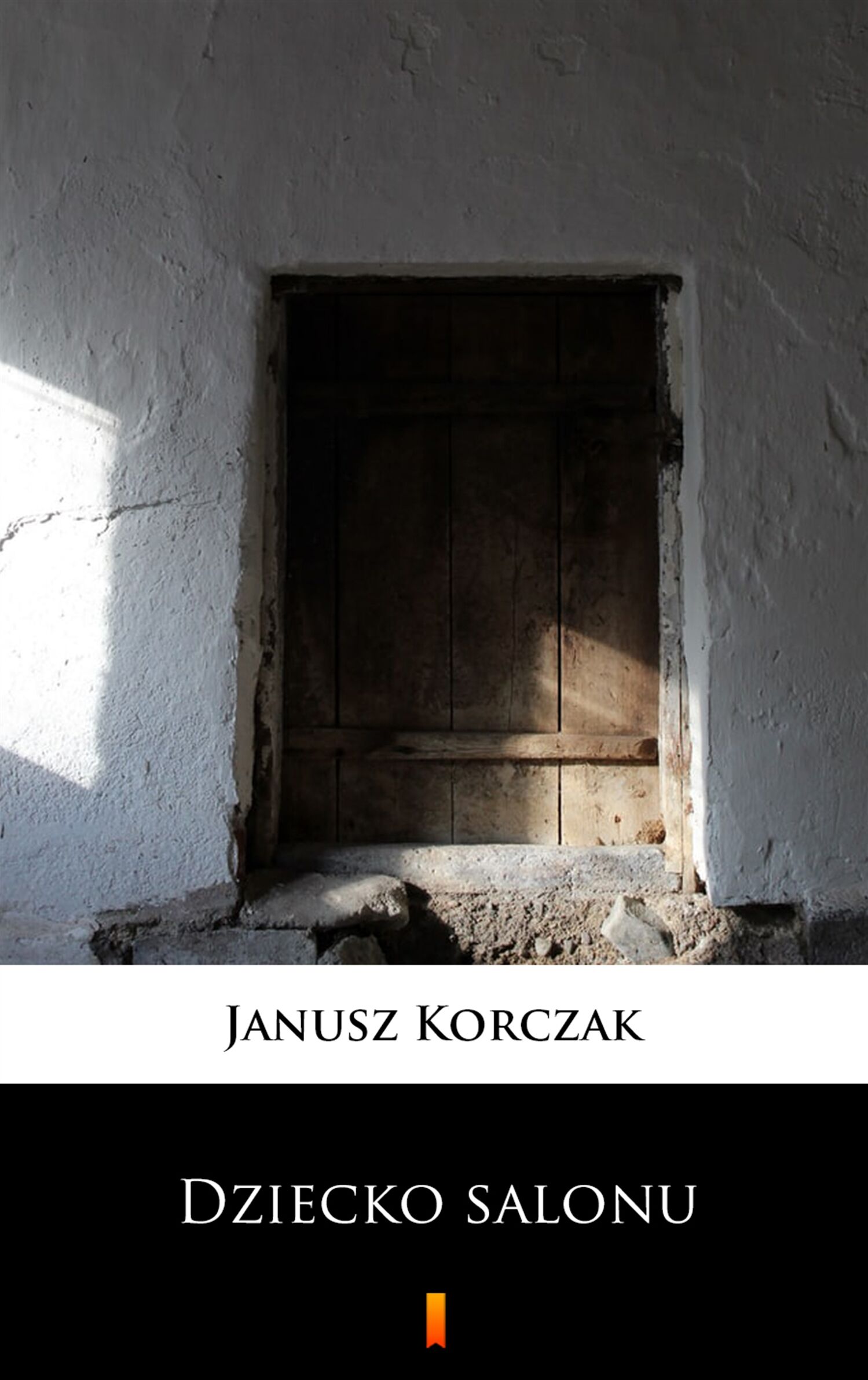 Dziecko salonu (e-book)