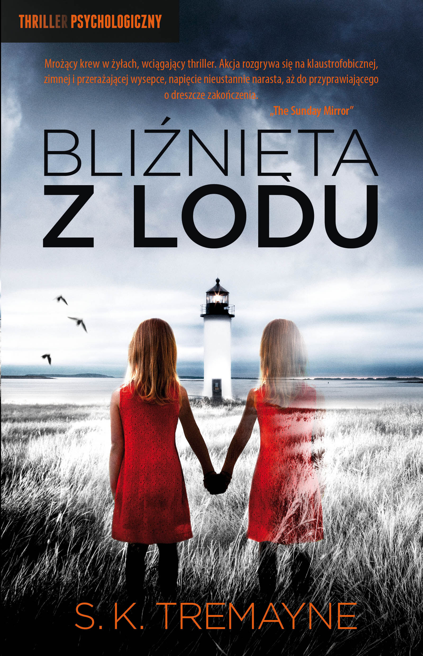 Bliźnięta z lodu (e-book)