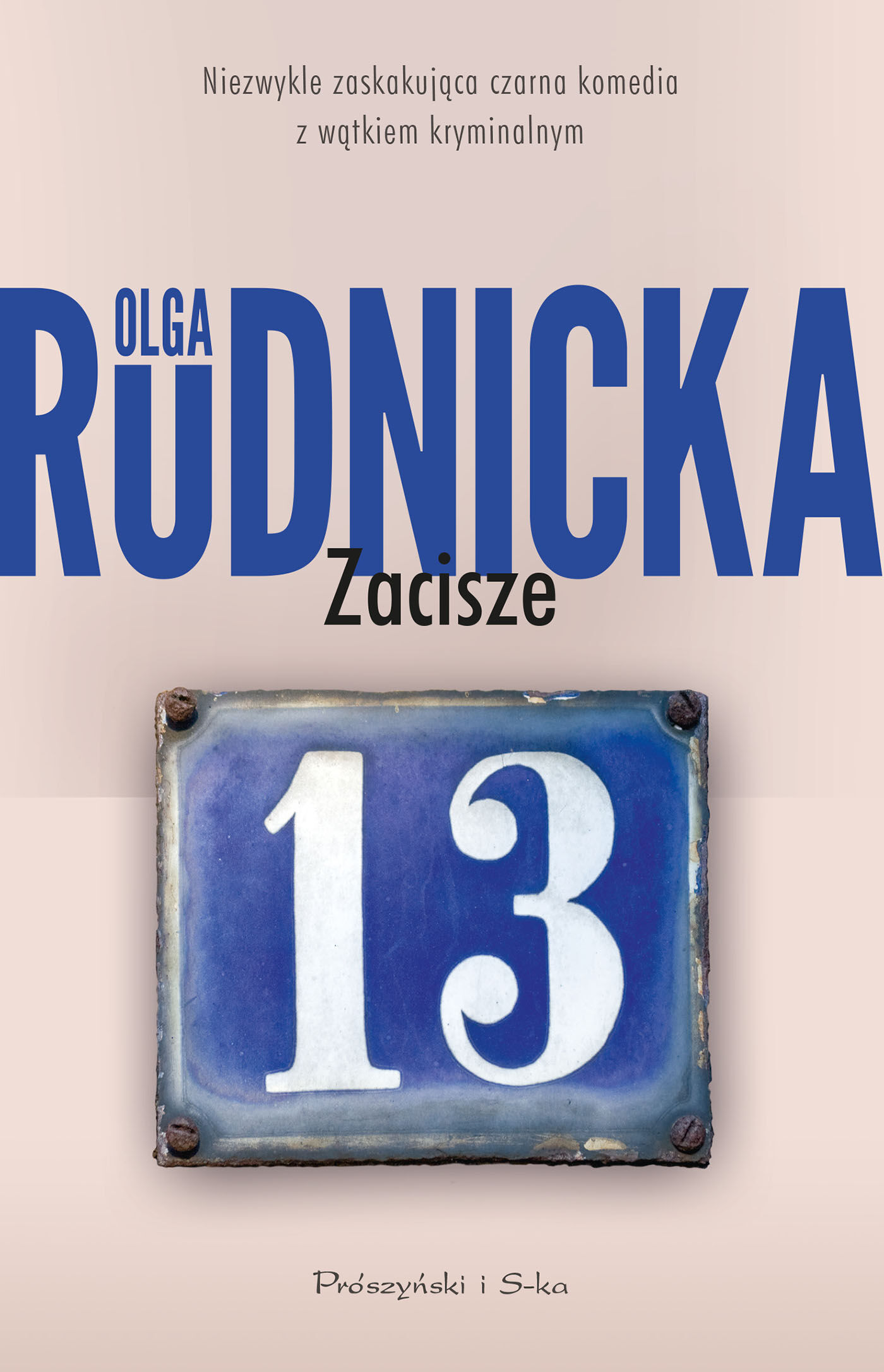 Zacisze 13 (e-book)