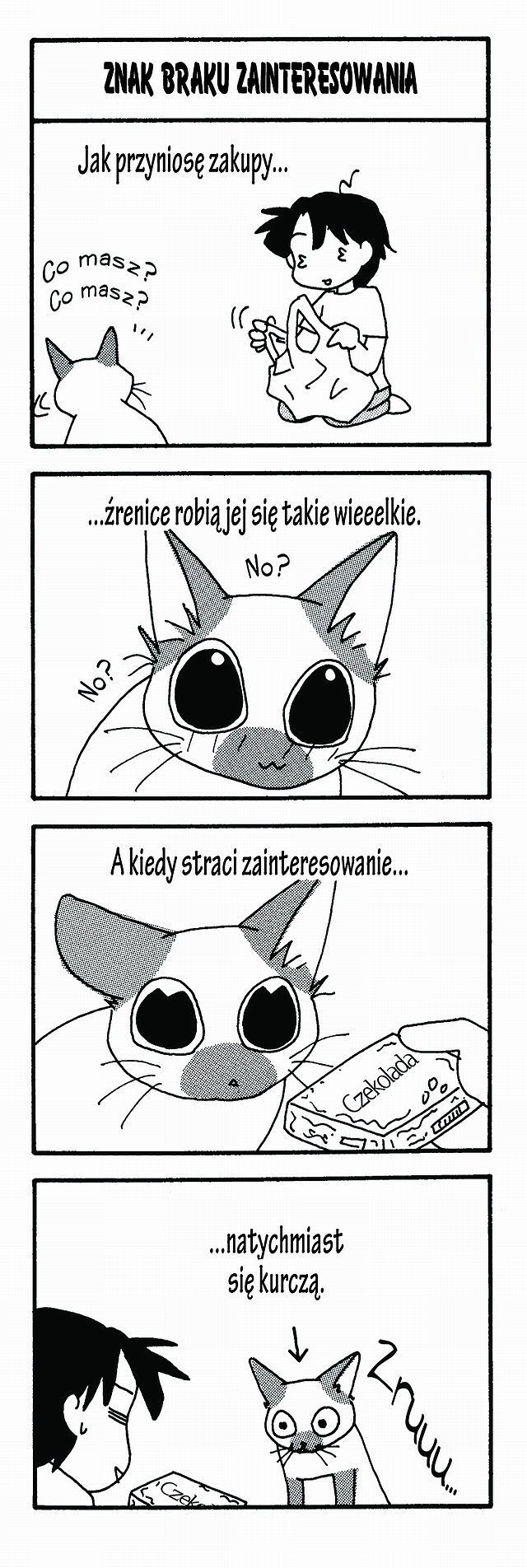 Pamiętnik Kociłapki - 1