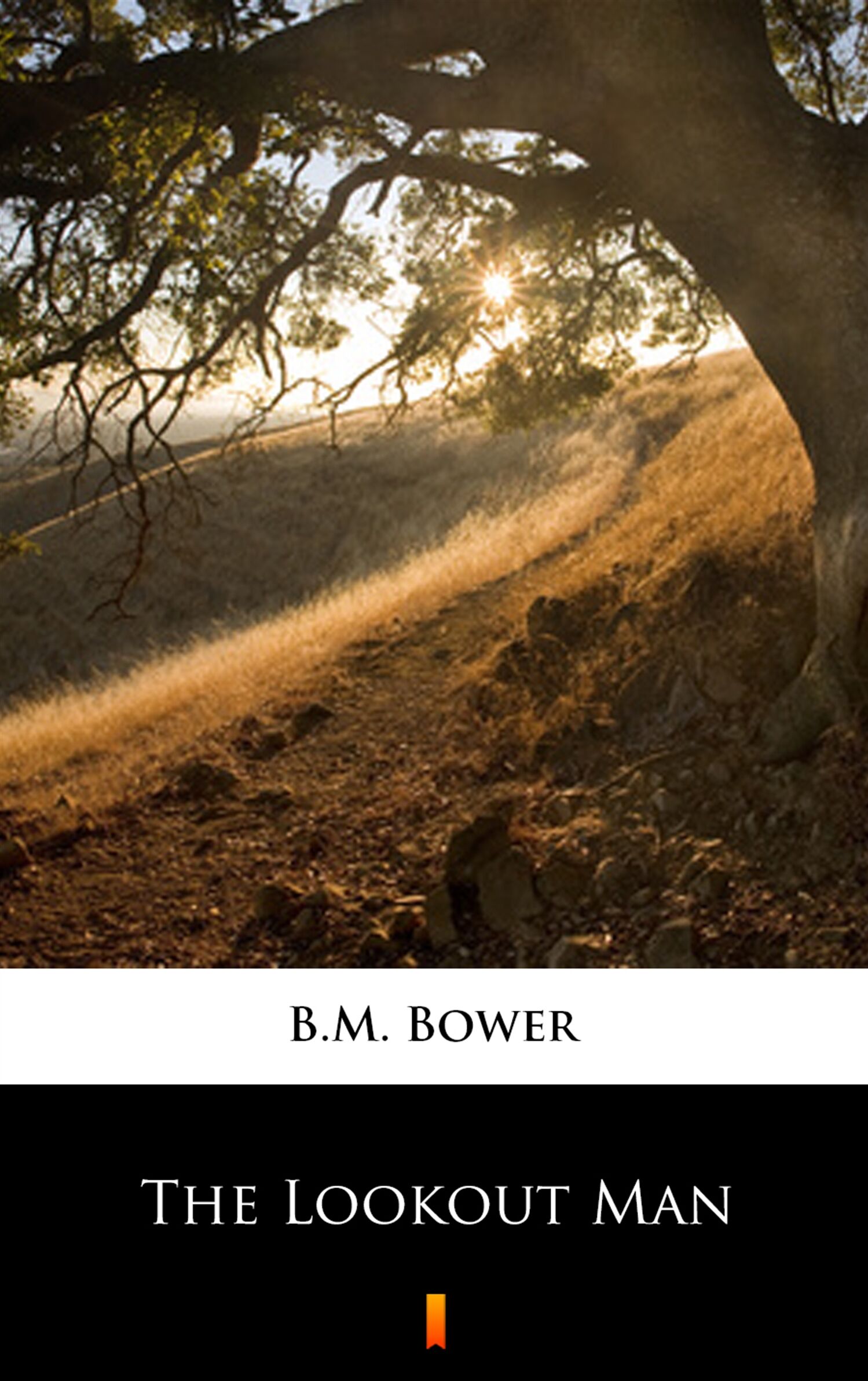 The Lookout Man (e-book)