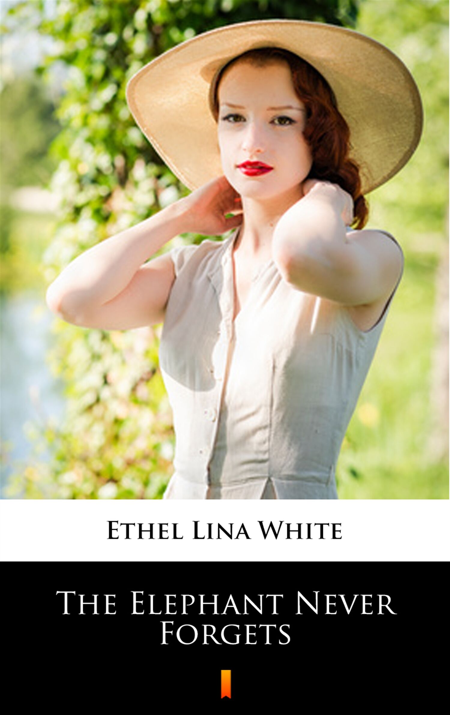 The Elephant Never Forgets (e-book)