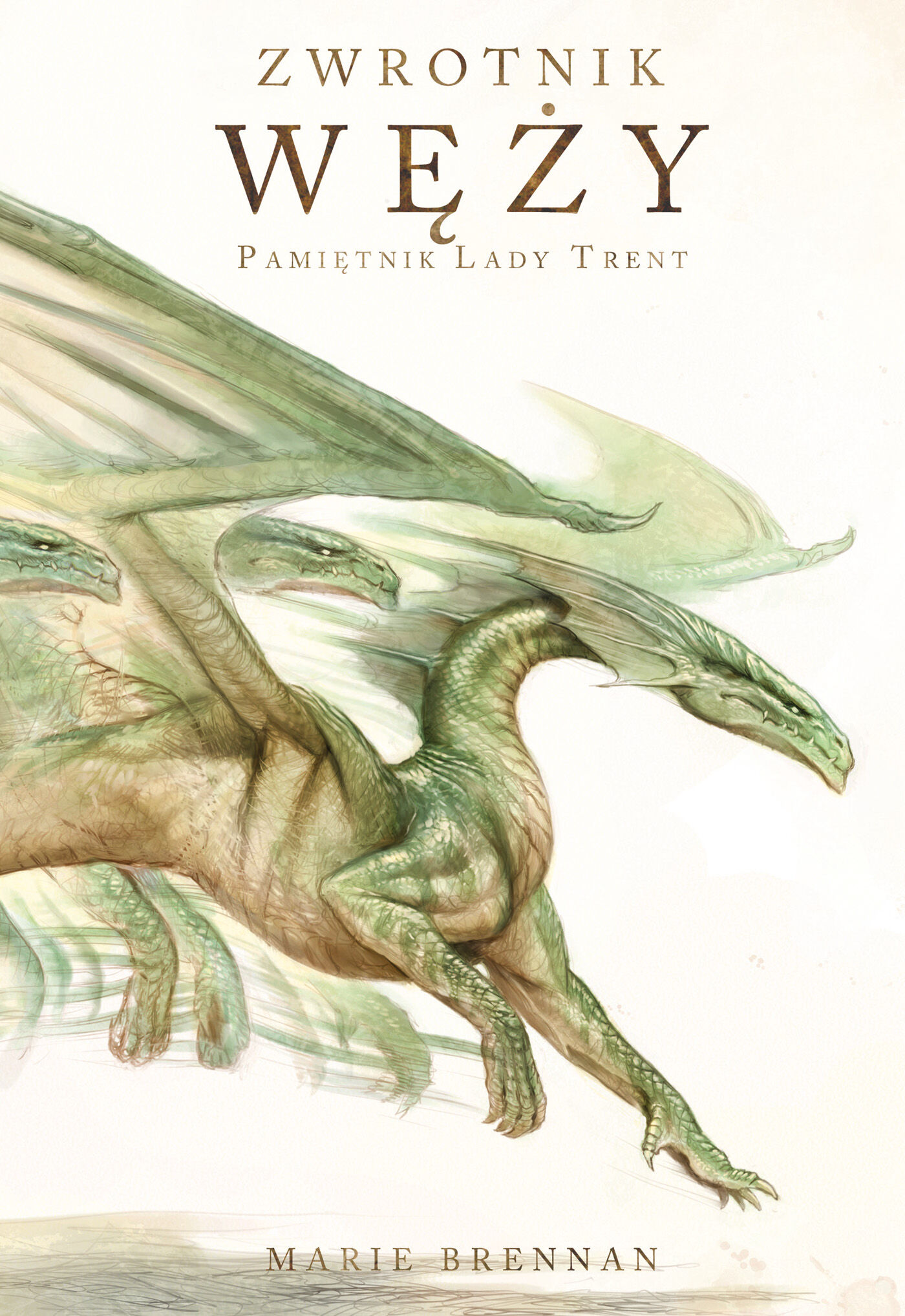 Zwrotnik Węży (e-book)