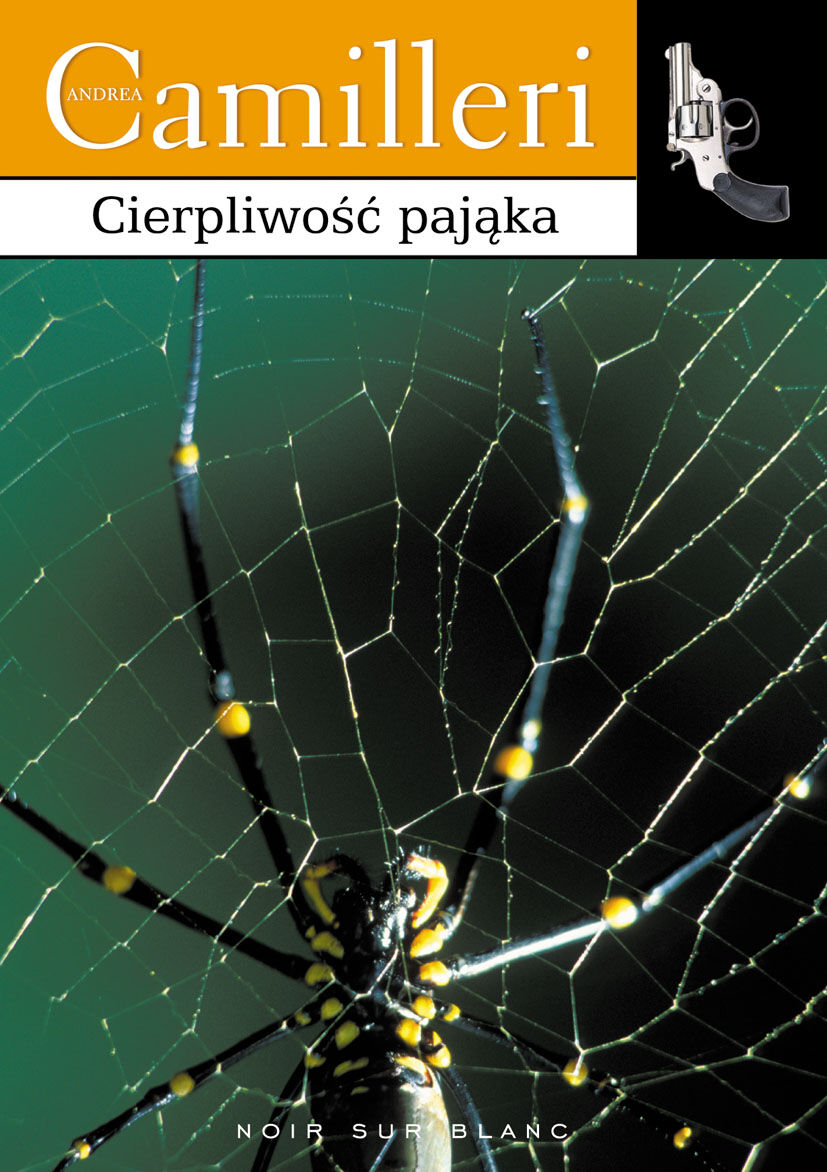Cierpliwość pająka (e-book)