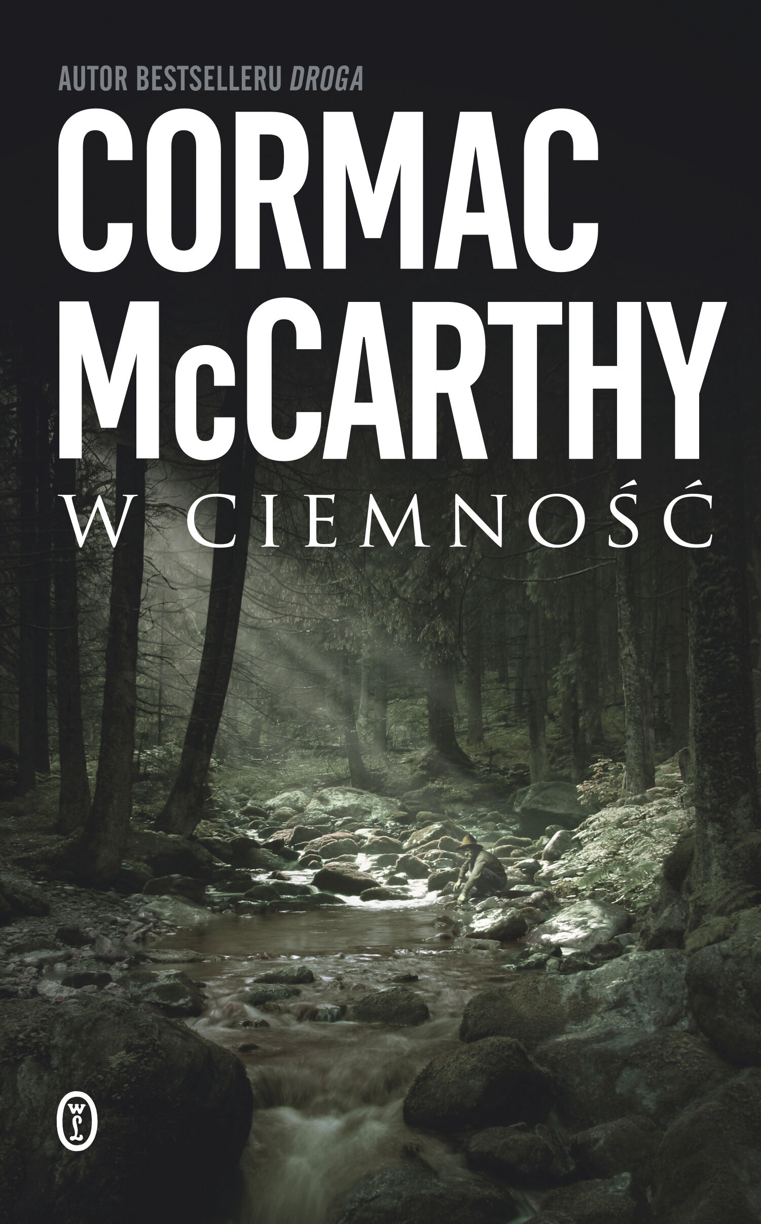 W ciemność (e-book)