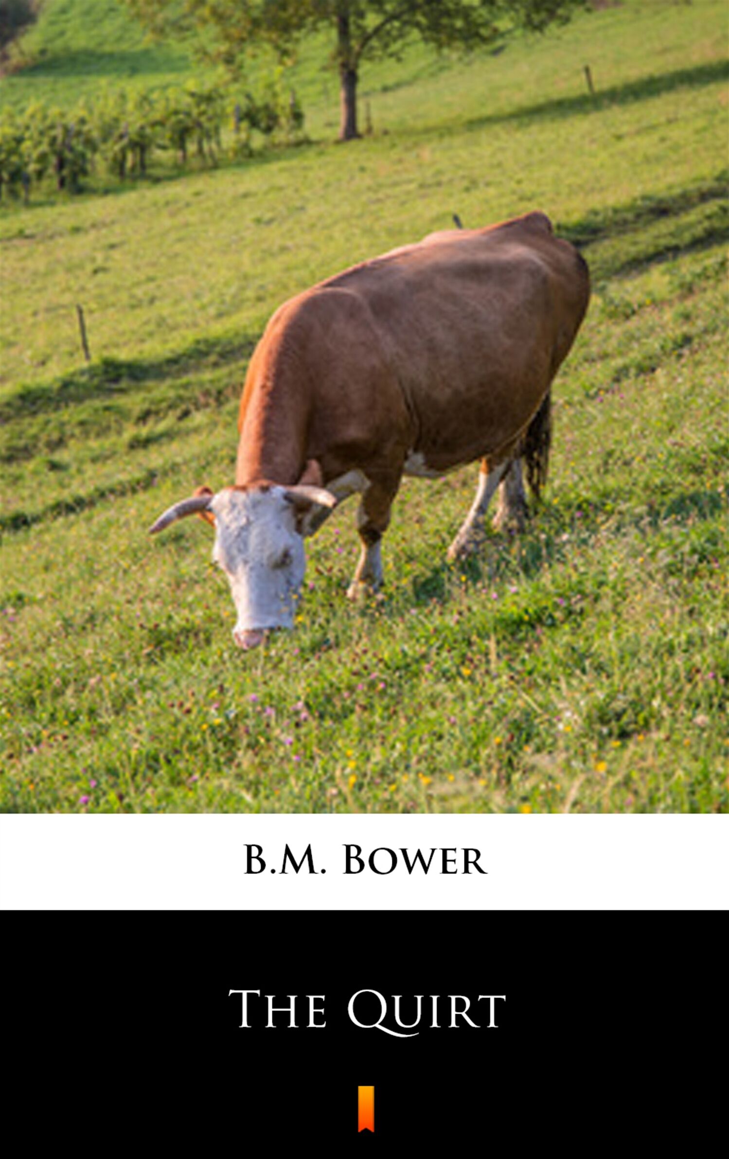 The Quirt (e-book)