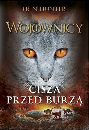 Cisza przed burzą