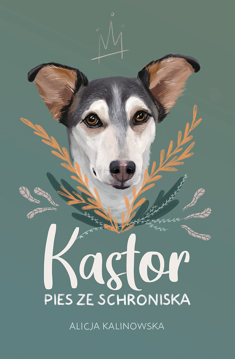 Kastor. PIES ZE SCHRONISKA /NB/