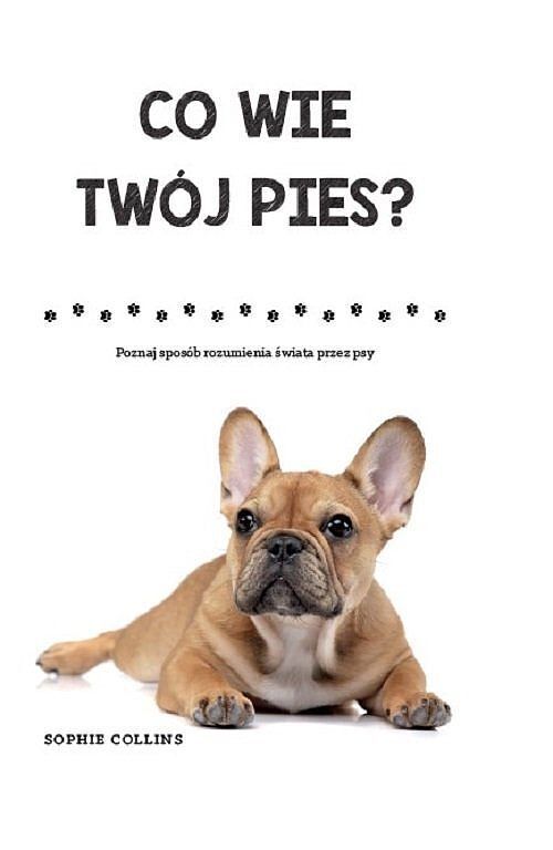 Co wie Twój pies