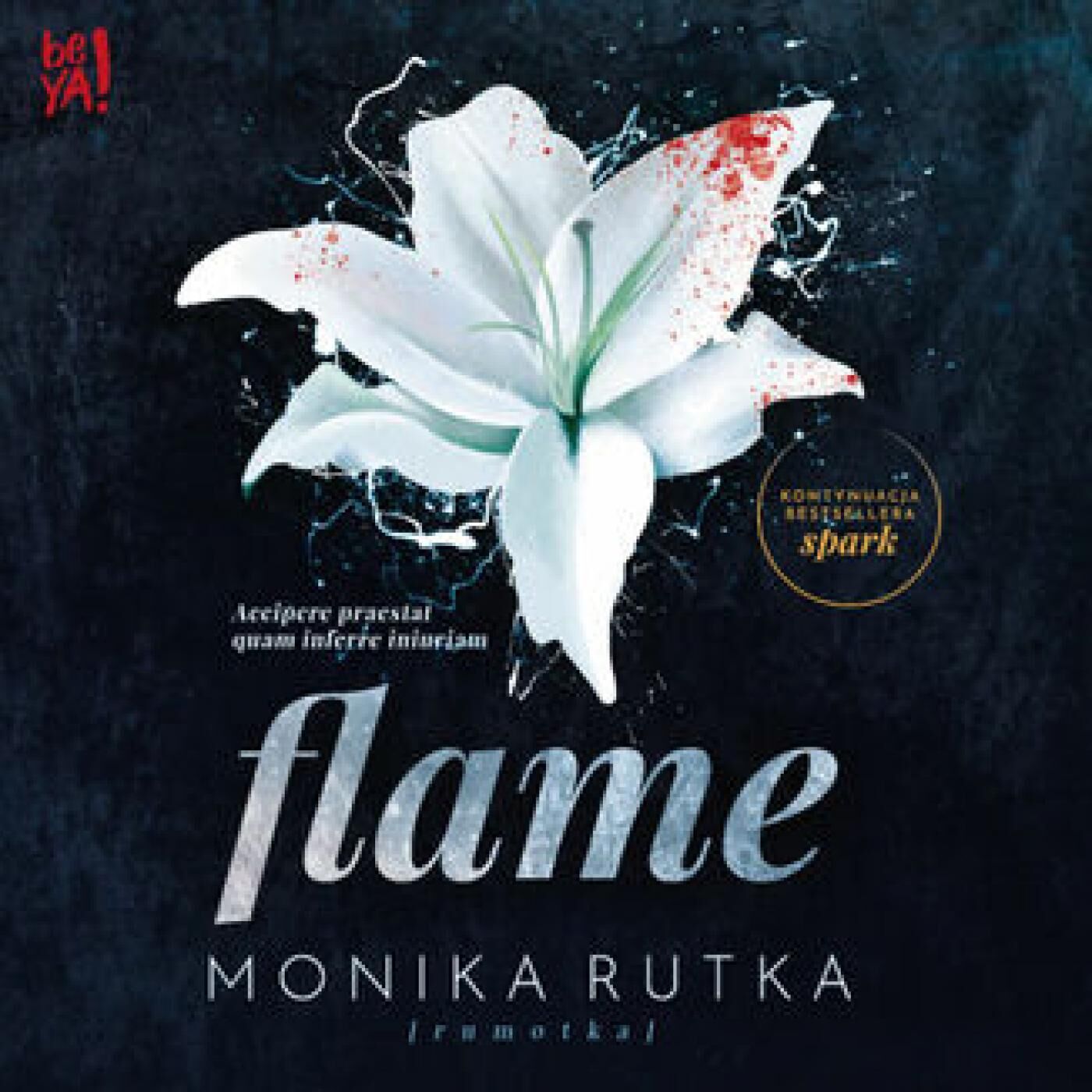 Flame (audiobook MP3)