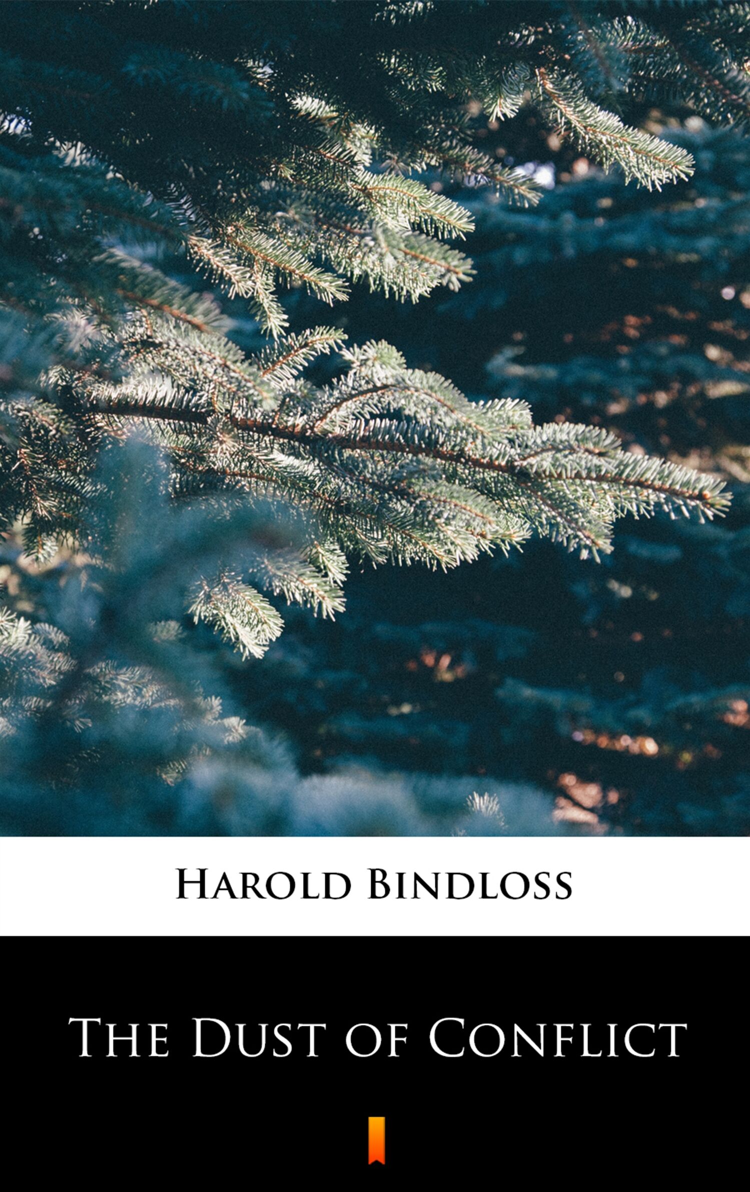 The Dust of Conflict (e-book)