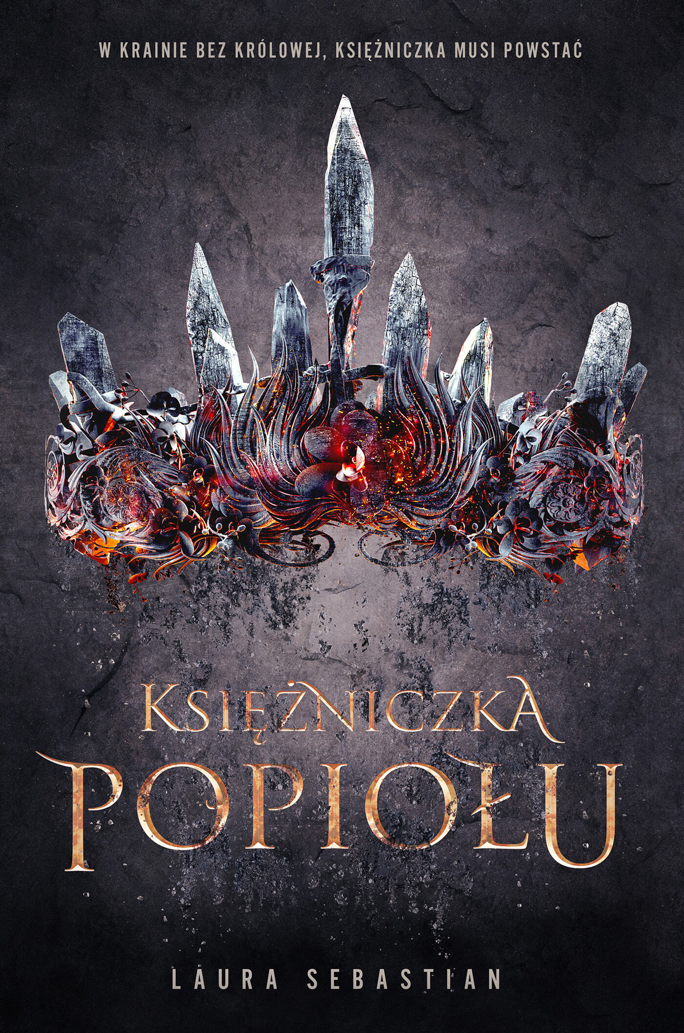 Księżniczka Popiołu (e-book)