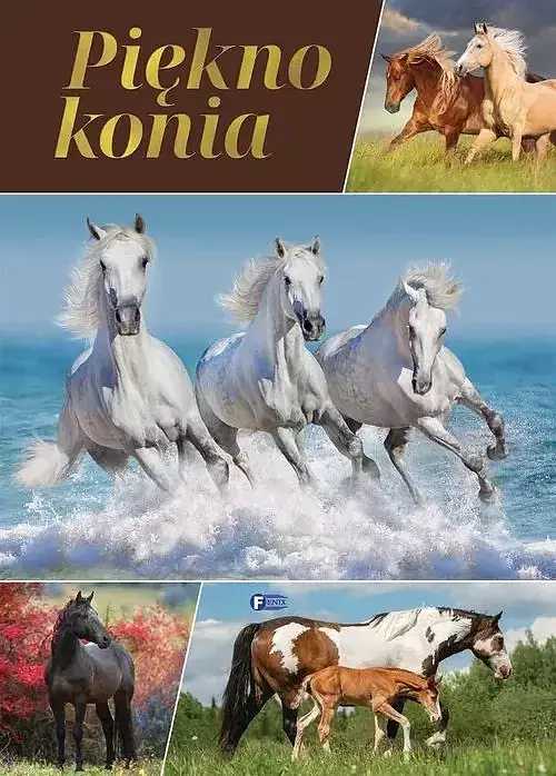 Piękno konia